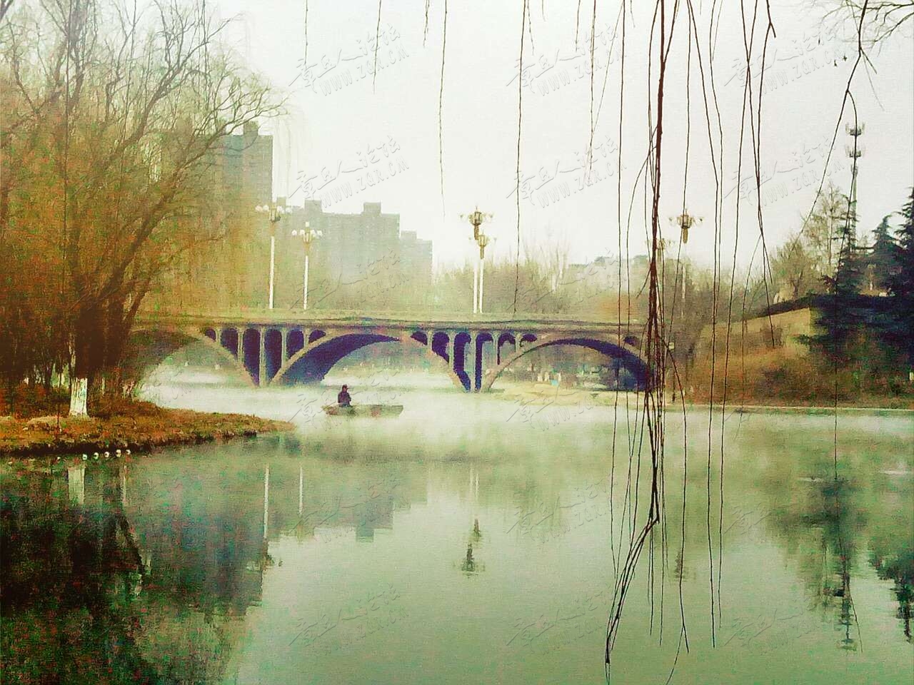 20190210_55480_1549783351969.jpg