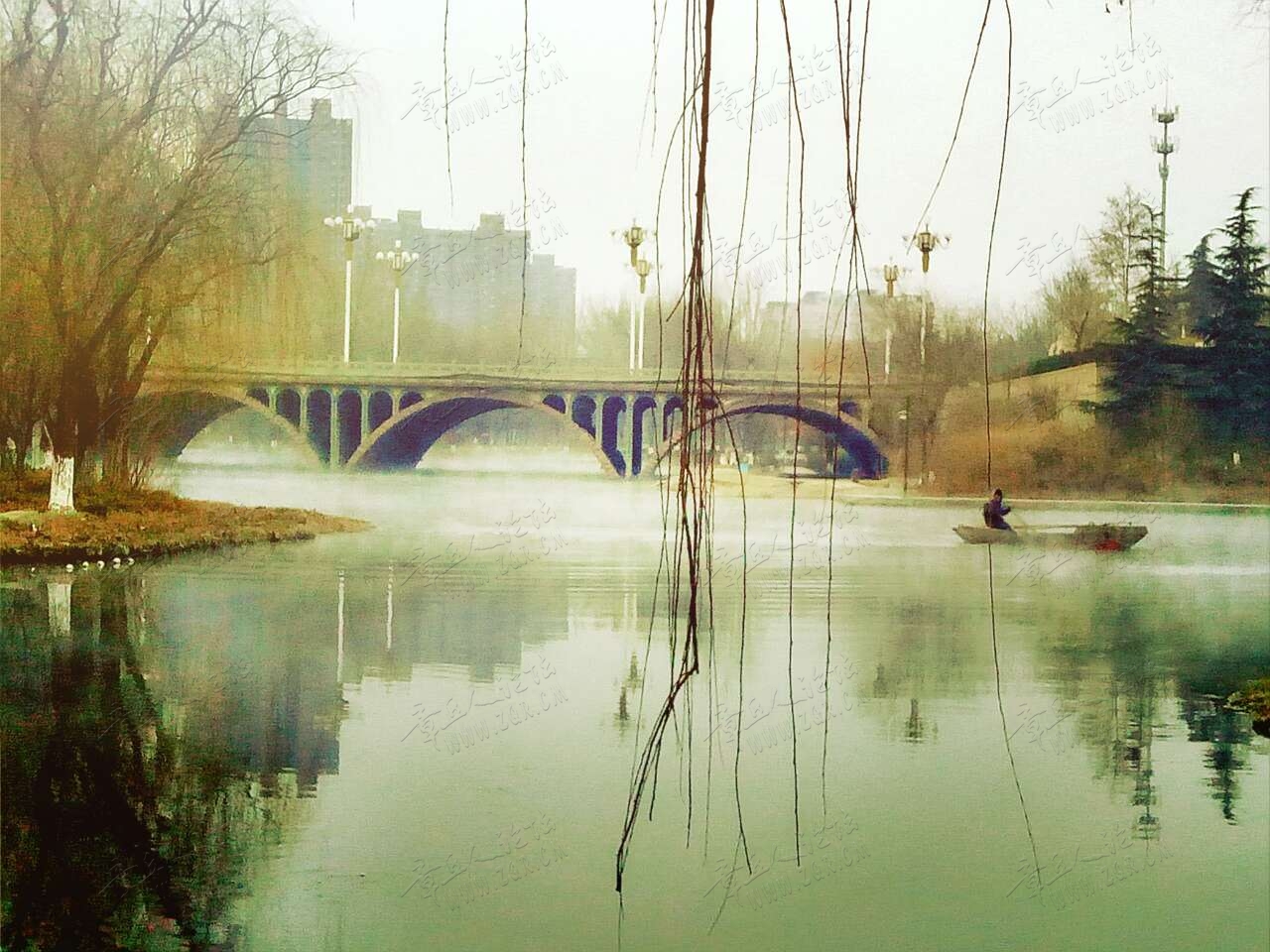 20190210_55480_1549783351459.jpg
