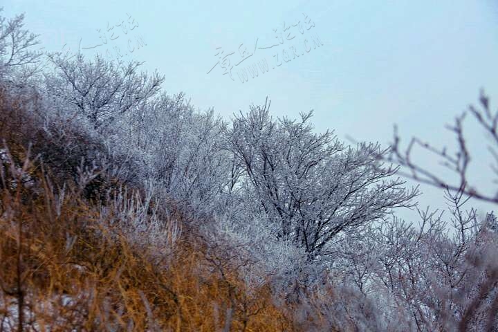 20190215_55480_1550200300342.jpg