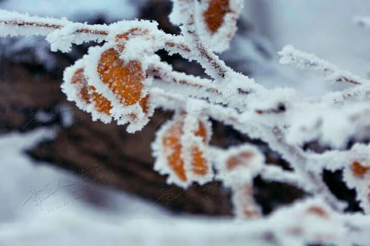 20190215_55480_1550212316616.jpg