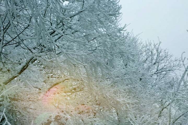 20190215_55480_1550212447259.jpg