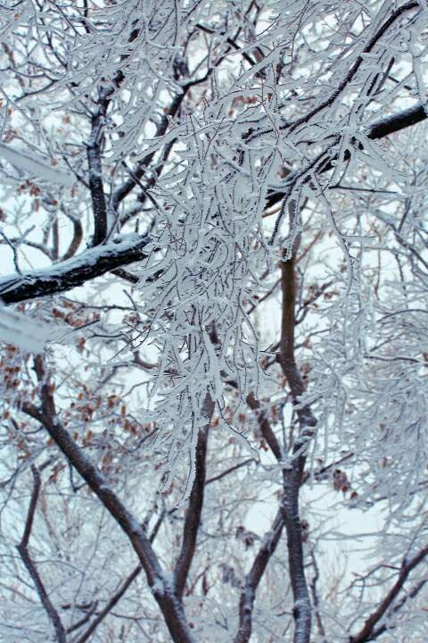 20190215_55480_1550213052066.jpg