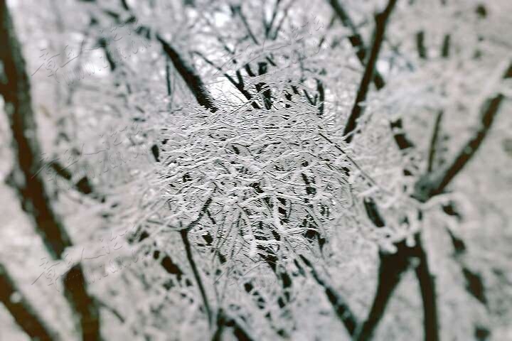 20190215_55480_1550213244324.jpg