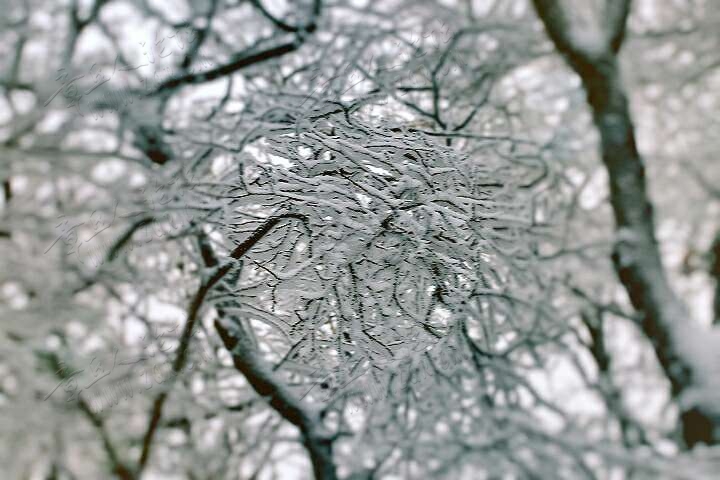 20190215_55480_1550213309761.jpg