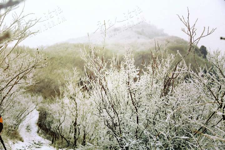 20190215_55480_1550213458335.jpg