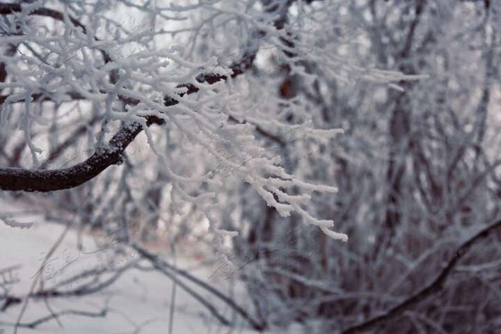 20190215_55480_1550213890458.jpg