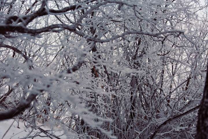 20190215_55480_1550213951978.jpg