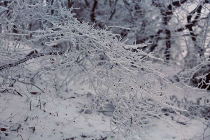 20190215_55480_1550214009416.jpg