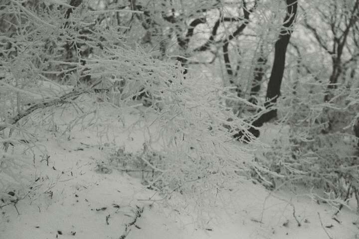 20190215_55480_1550214068087.jpg