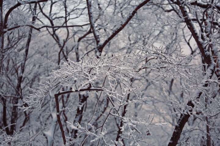 20190215_55480_1550214176274.jpg