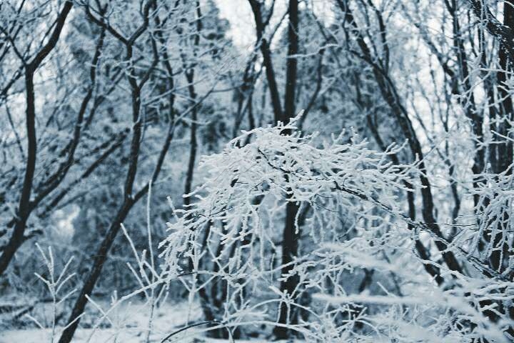 20190215_55480_1550214244990.jpg