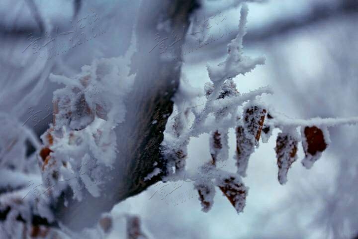 20190215_55480_1550216592450.jpg