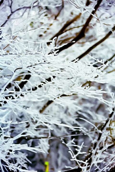 20190215_55480_1550216706629.jpg