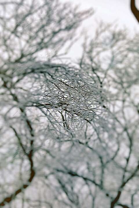 20190215_55480_1550216756604.jpg