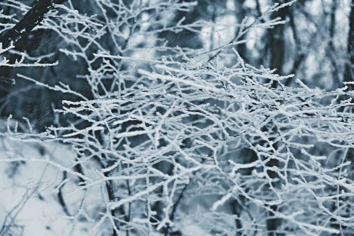 20190215_55480_1550216816017.jpg