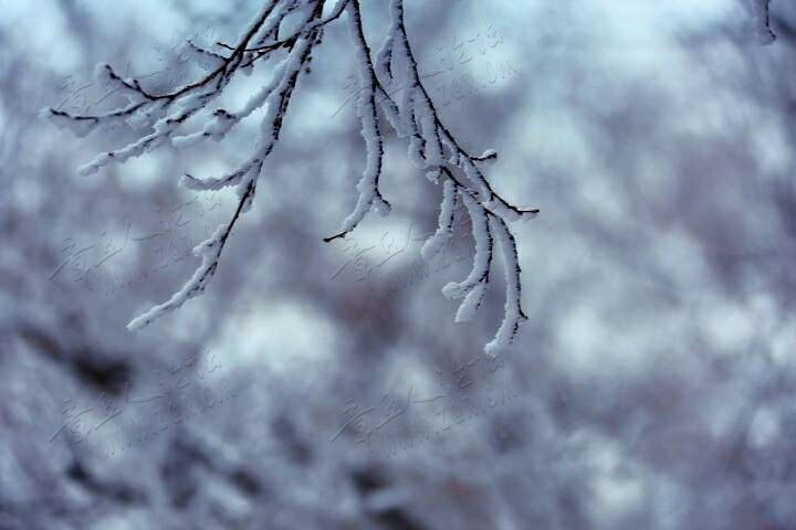 20190215_55480_1550216867810.jpg
