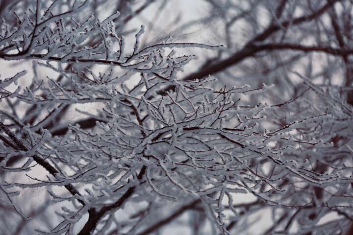 20190215_55480_1550216947089.jpg