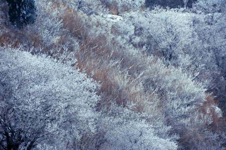 20190215_55480_1550224164913.jpg