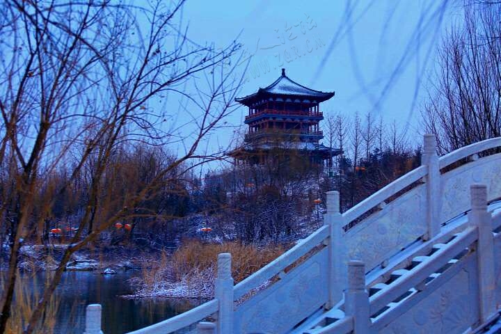 20190216_55480_1550292931865.jpg
