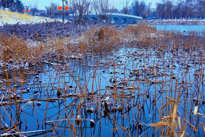20190216_55480_1550296432087.jpg