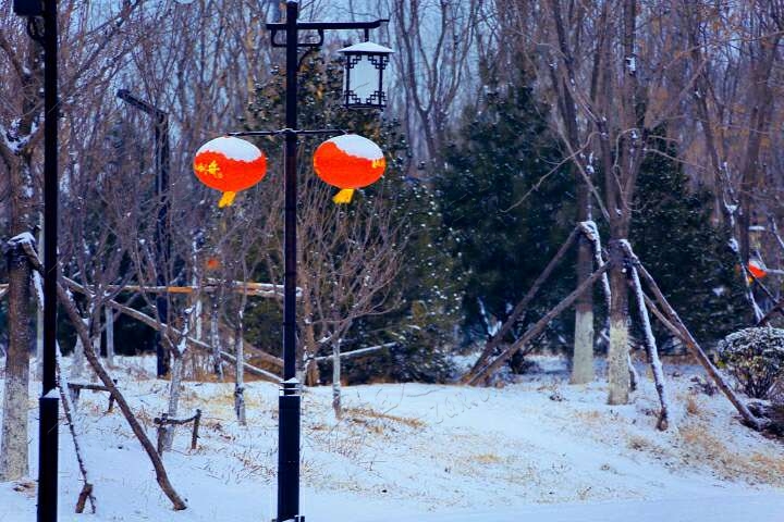 20190216_55480_1550297925633.jpg
