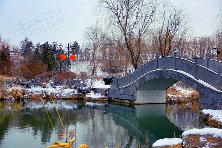 20190216_55480_1550298848591.jpg