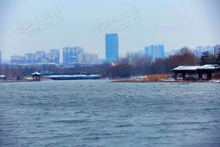 20190216_55480_1550314473679.jpg