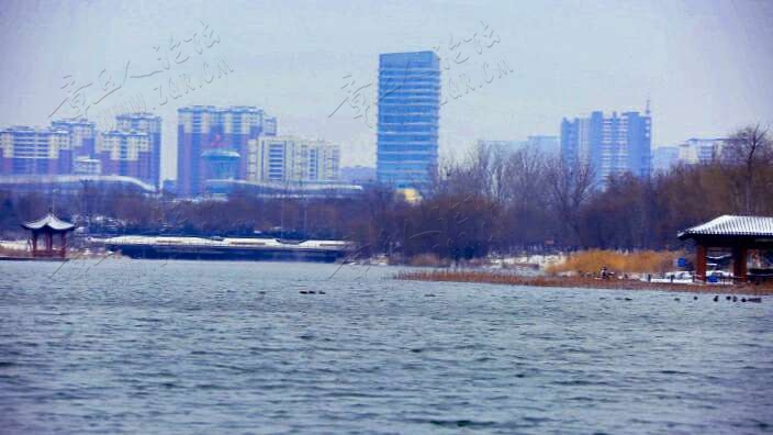 20190216_55480_1550314560776.jpg