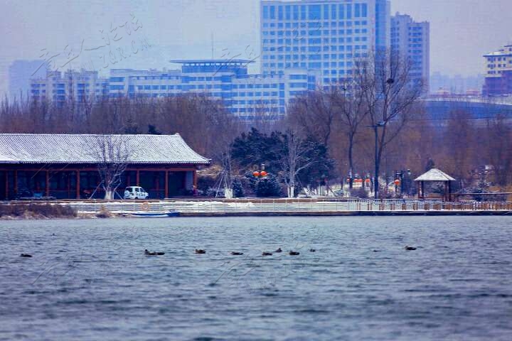 20190216_55480_1550319106201.jpg