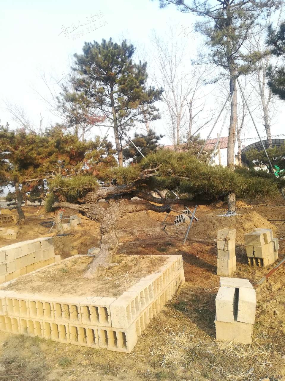 20190217_404826_1550361045534.jpg