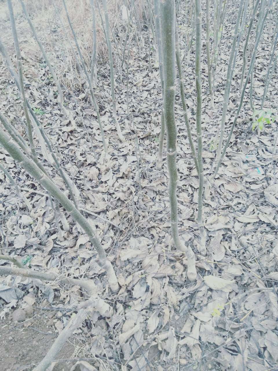 20190222_390404_1550793509501.jpg