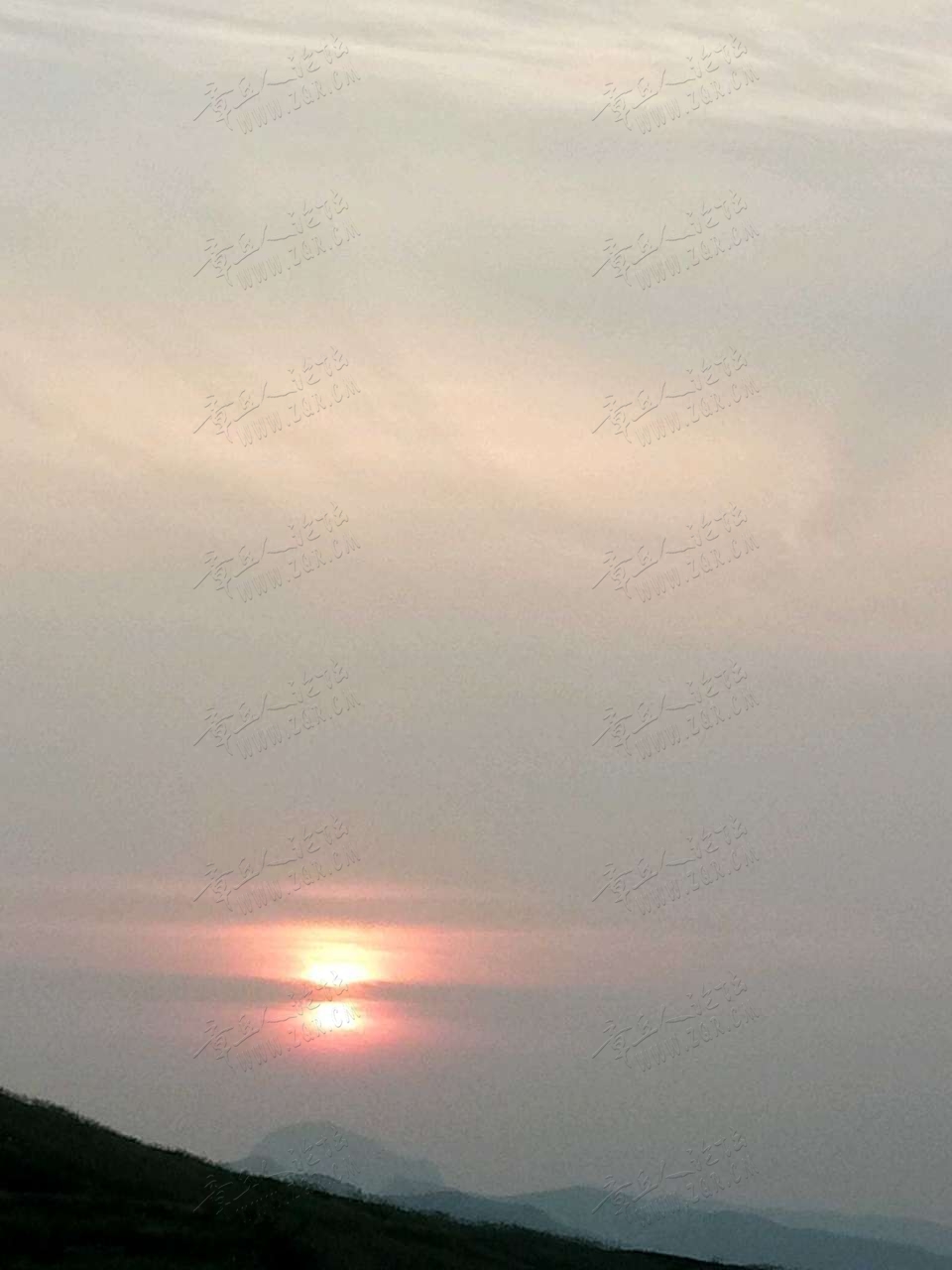 20190304_433835_1551698107971.jpg