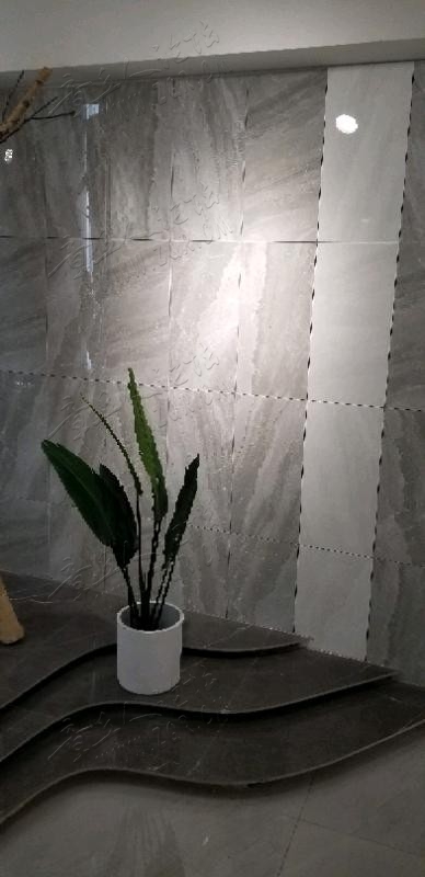 20190227_100103.jpeg