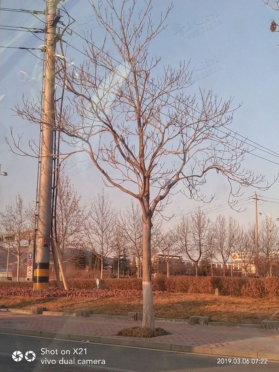 20190306_17420_1551828314429.jpg