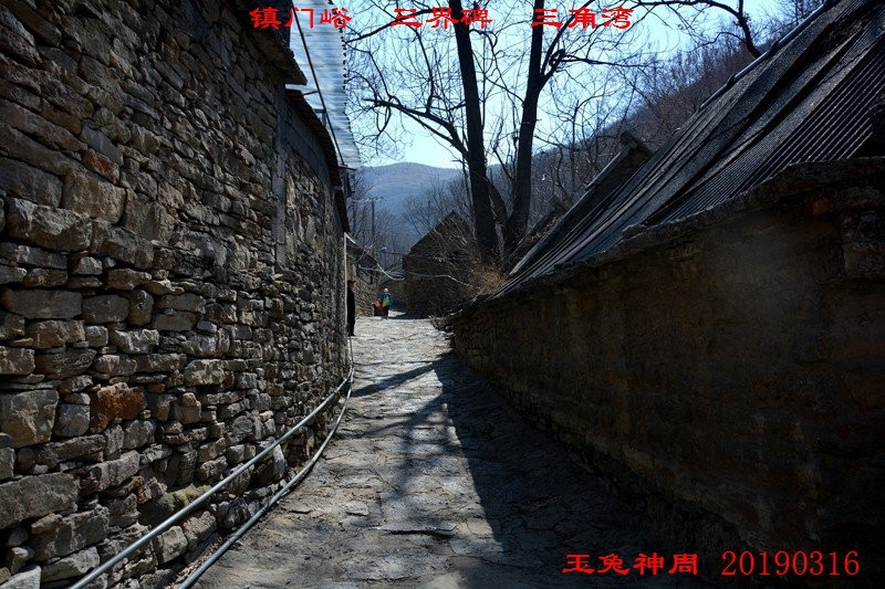 照片 235.jpg