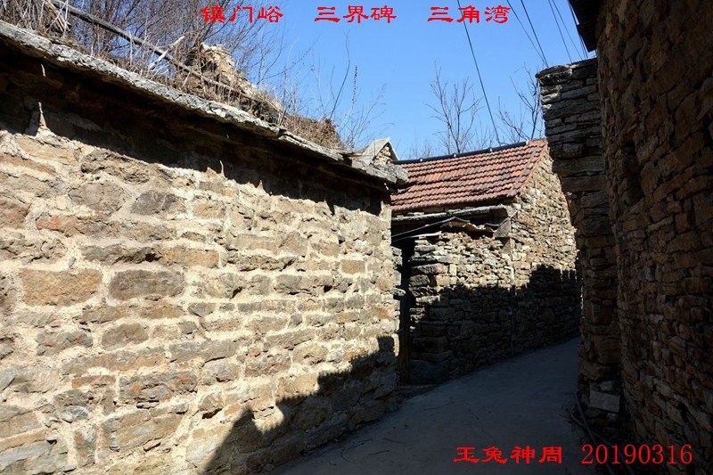 照片 236.jpg