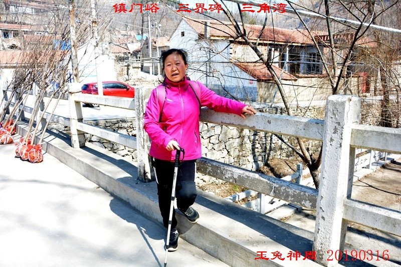 照片 246.jpg