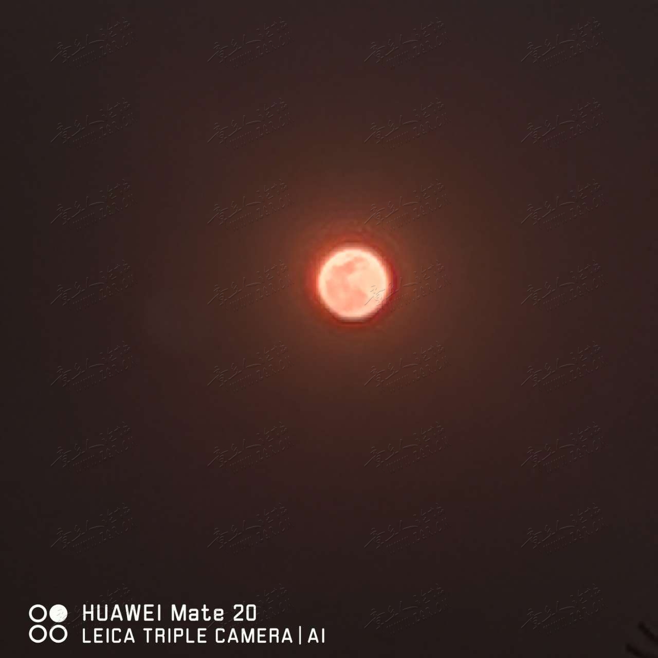20190321_368155_1553172644220.jpg