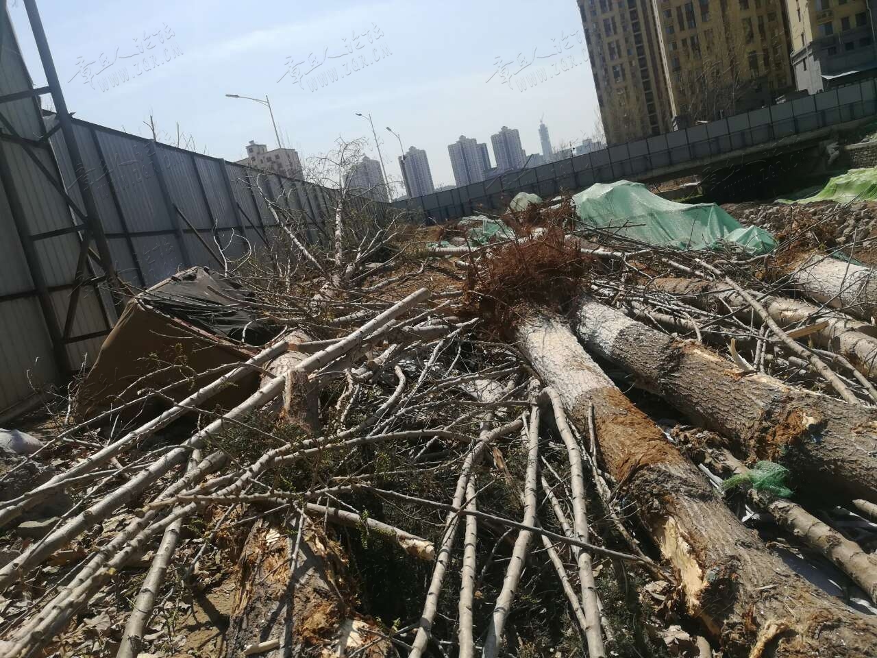 20190322_443850_1553236201395.jpg