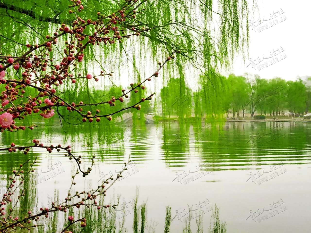 20190322_444666_1553242595777.jpg