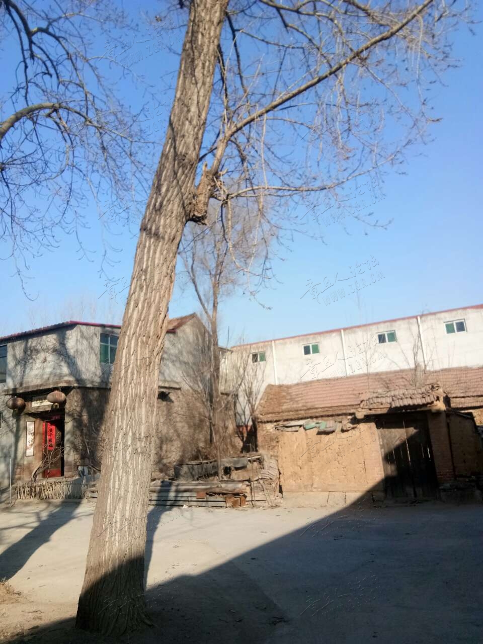 20190323_443729_1553291443915.jpg