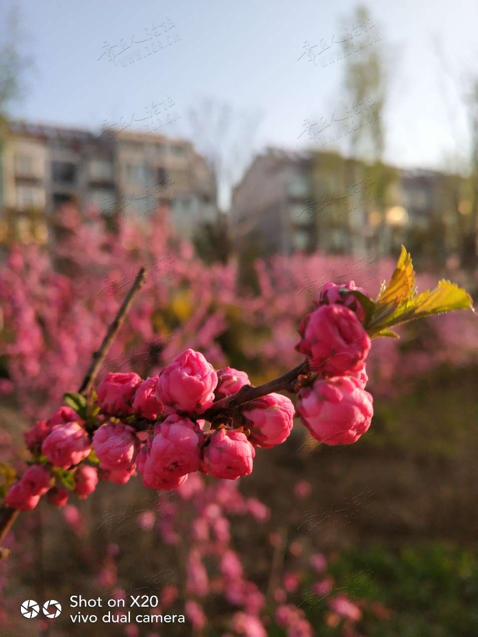 20190324_445425_1553397429966.jpg