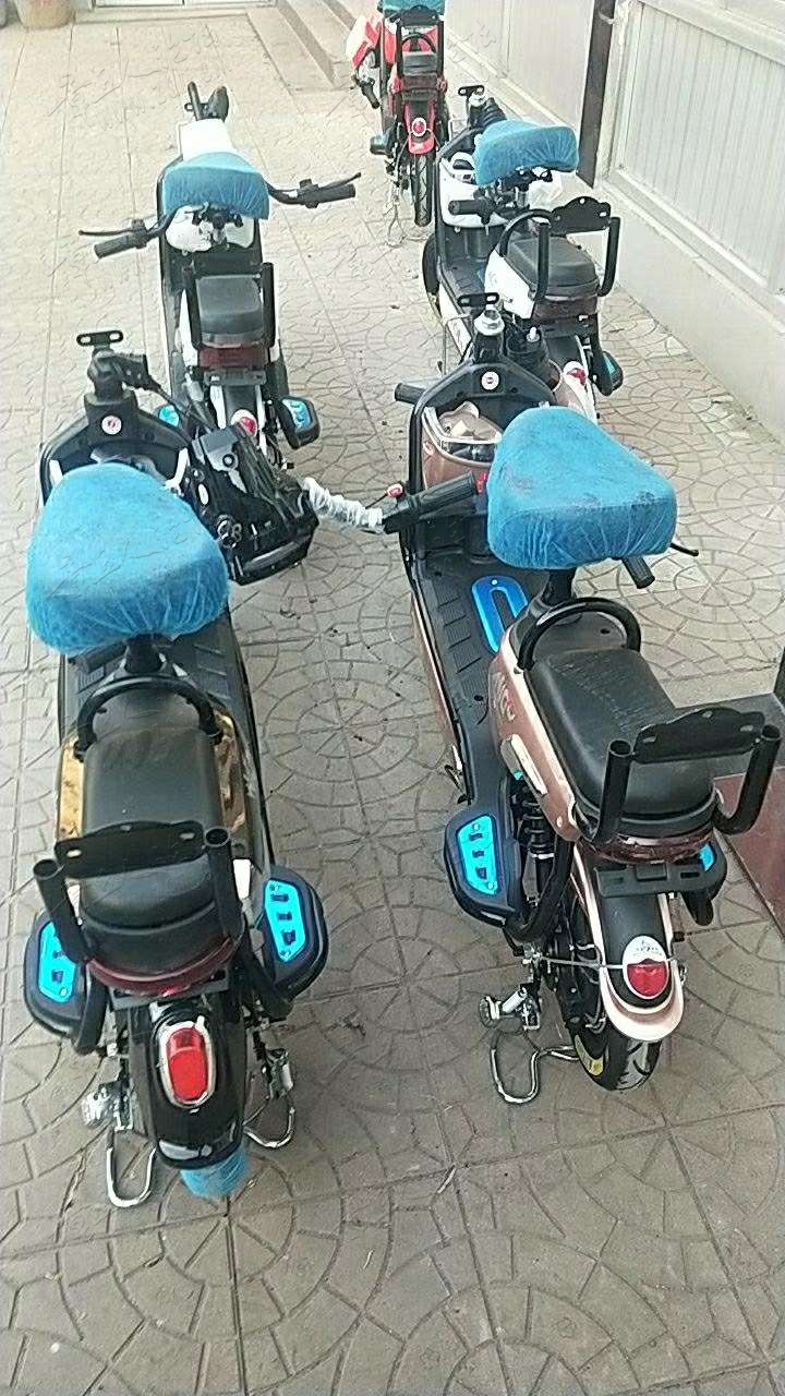 20190327_398351_1553686954965.jpg