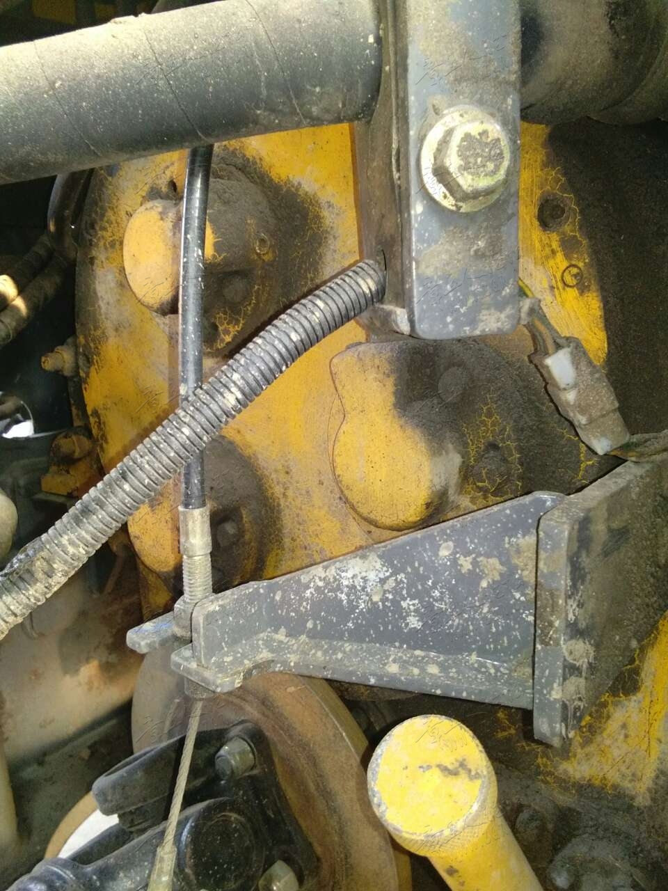 20190328_394236_1553733746382.jpg