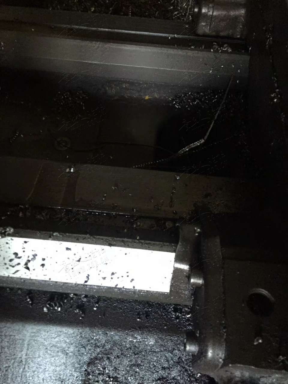 20190328_443695_1553779043347.jpg