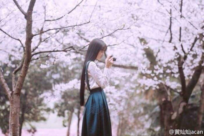 樱花美女.jpg