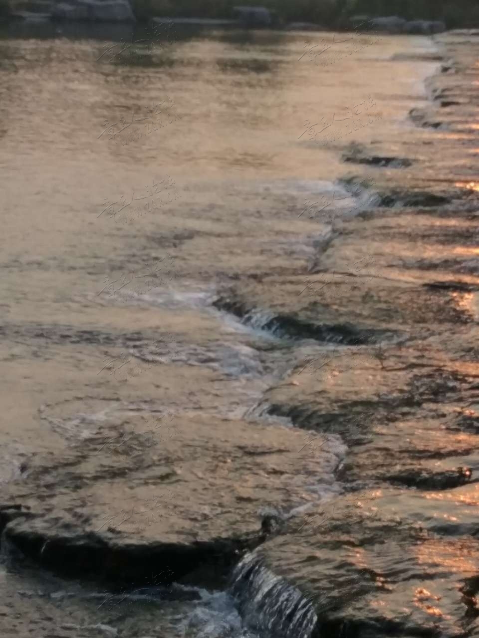 20190329_445838_1553847669404.jpg