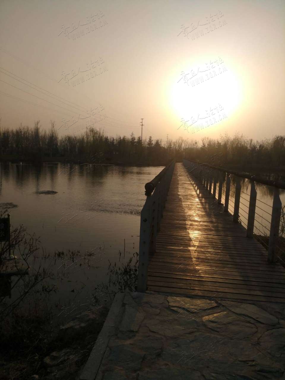 20190329_445838_1553847892245.jpg