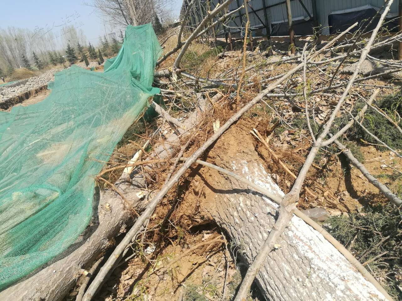 20190331_443850_1553983490457.jpg