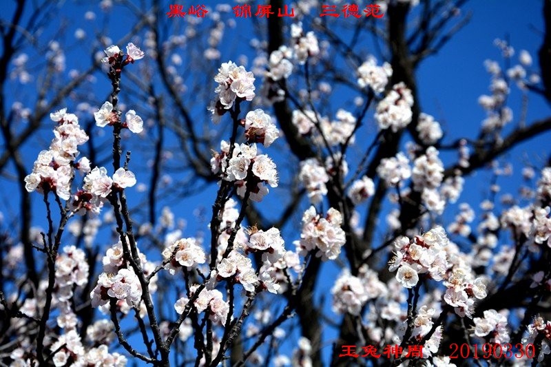 照片 132.jpg